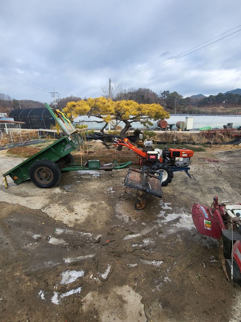 이배규님의 장터 판매 상품 [(판매완료)대동 경운기 키시동 판매] 첨부 사진