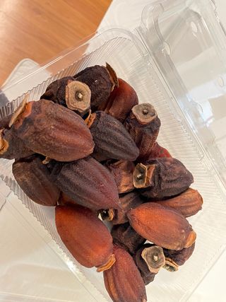 금숙님의 감 · 자유게시판 작성글 사진