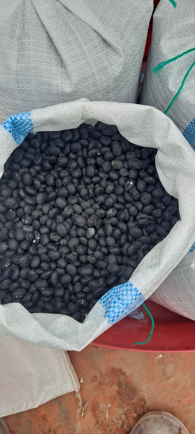 장터 상품 [서리태 콩8kg] 썸네일