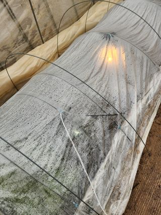 Preotu님의 기타작물 · 자유게시판 작성글 사진