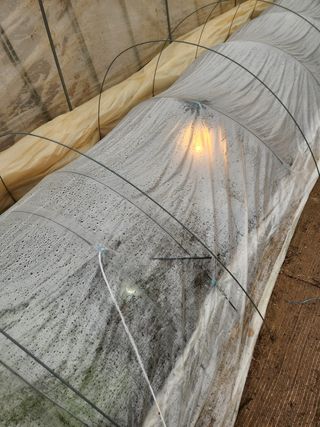 Preotu님의 기타작물 · 자유게시판 작성글 사진