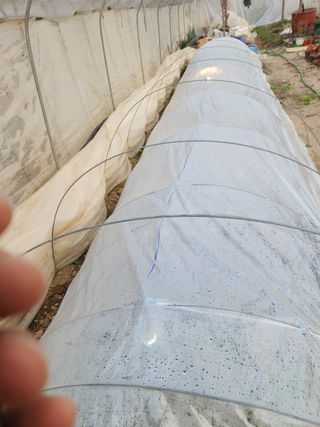 Preotu님의 기타작물 · 자유게시판 작성글 사진