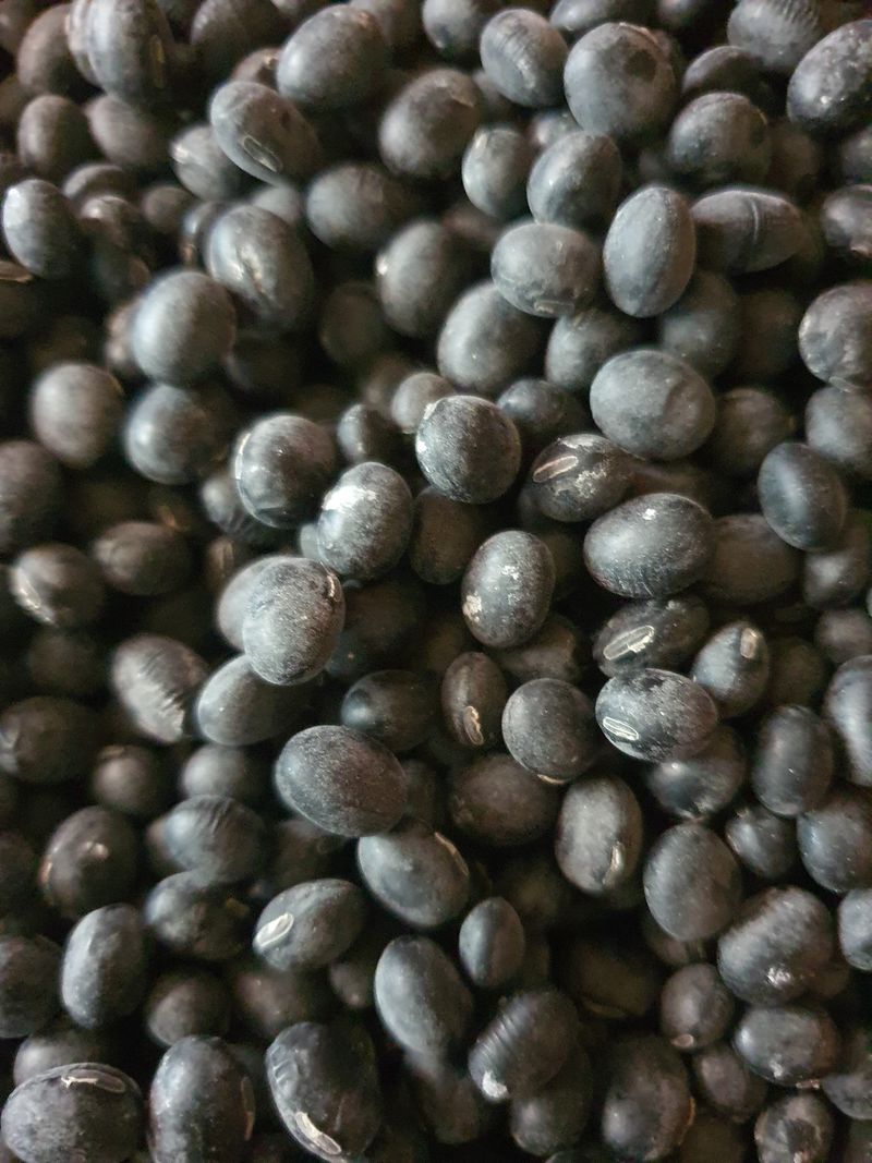 장터 상품 [서리태 ] 썸네일