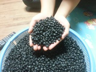 이은호님의 작성글 사진