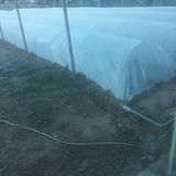 팜모닝 마늘·일상 게시글 이미지