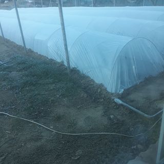 알 수 없음님의 마늘 · 일상 작성글 사진