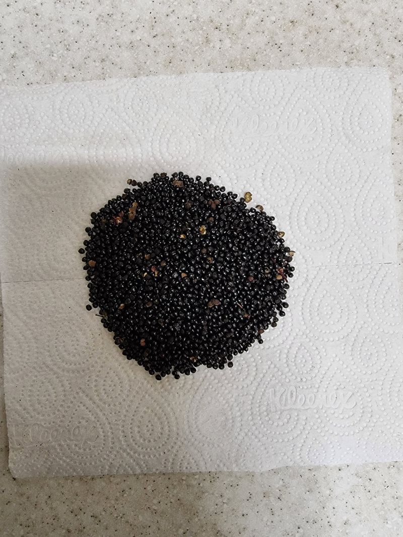 장터 상품 [22년도 햇산초씨앗   ] 썸네일