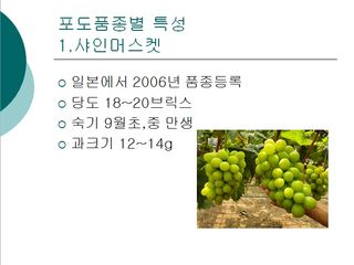 청은농장님의 포도 · 자유게시판 작성글 사진