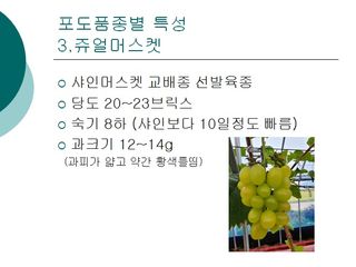 청은농장님의 포도 · 자유게시판 작성글 사진