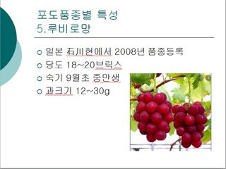 청은농장님의 포도 · 자유게시판 작성글 사진