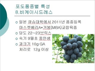 청은농장님의 포도 · 자유게시판 작성글 사진