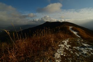 산 아래님의 마늘 · 일상 작성글 사진