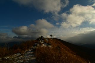 산 아래님의 마늘 · 일상 작성글 사진