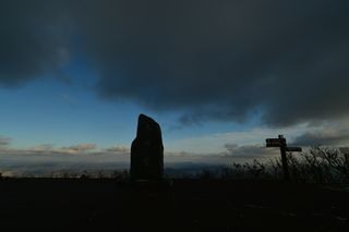 산 아래님의 마늘 · 일상 작성글 사진