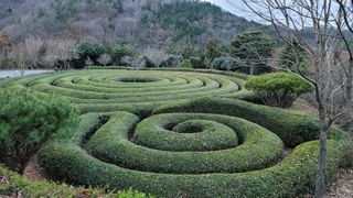 보성골망태정원 님의 기타작물 · 자유게시판 작성글 사진