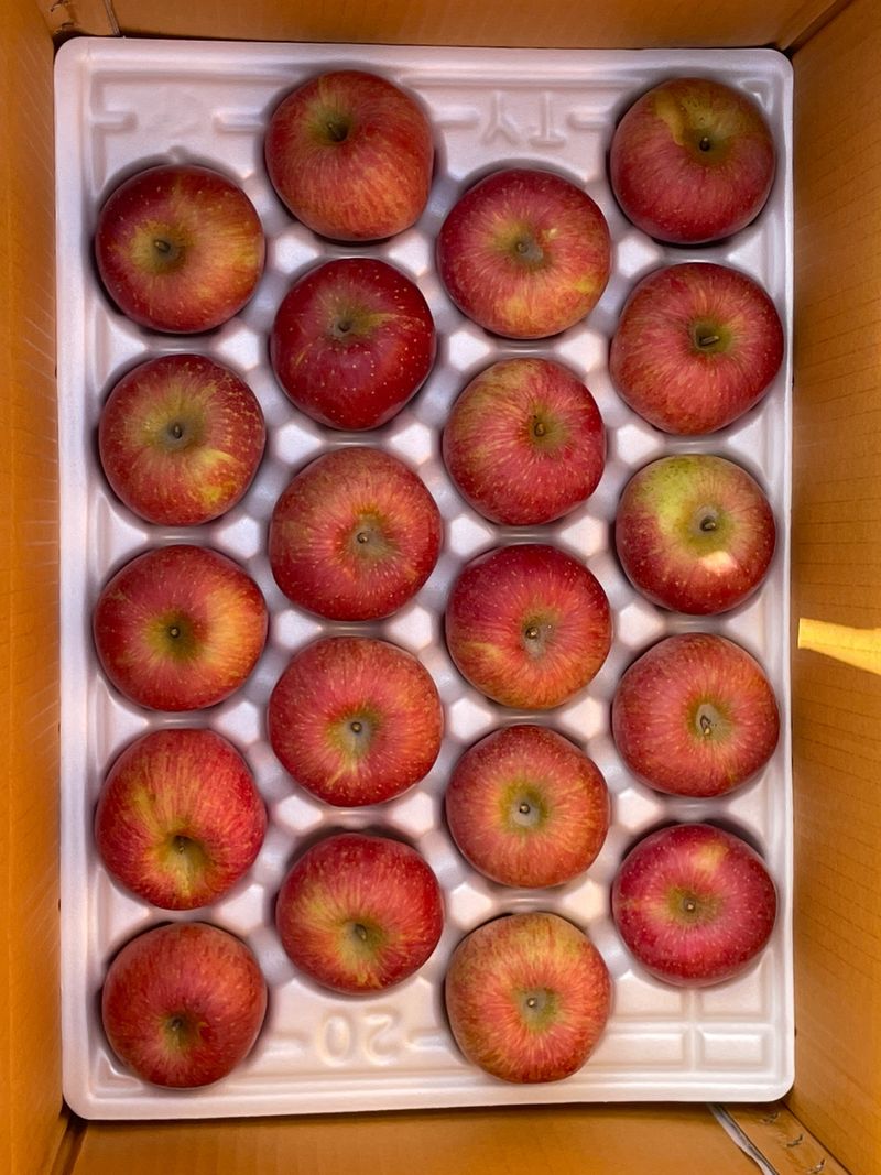 조순자님의 장터 판매 상품 [청송 부사 사과 5kg, 10kg ] 첨부 사진