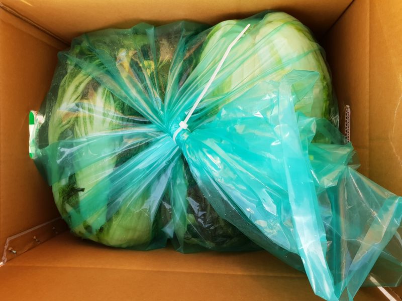 박효식님의 장터 판매 상품 [해남 절임배추 팝니다] 첨부 사진