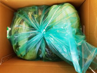 박효식님의 작성글 사진