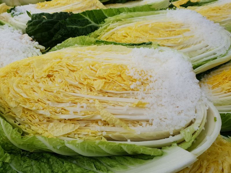 장터 상품 [해남 절임배추 팝니다] 썸네일