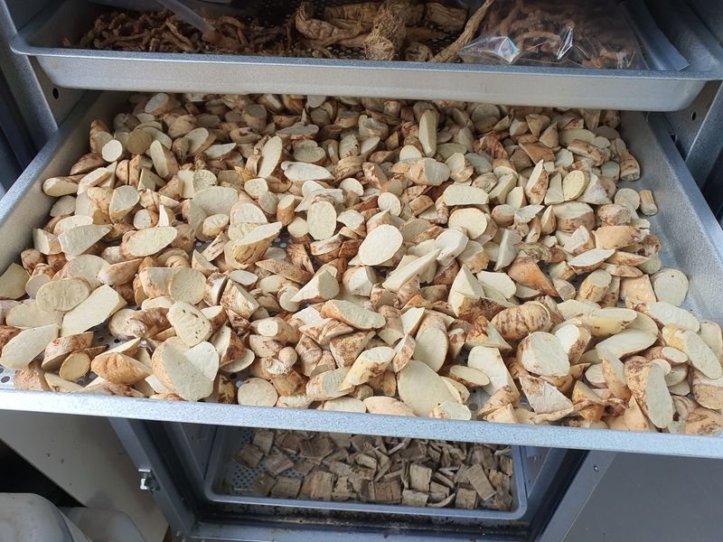 장터 상품 [백수오 분말 200g (12년근 입니다.)약성좋음] 썸네일