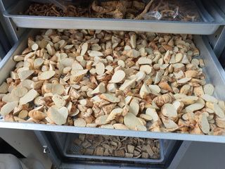 박운규.털보님의 작성글 사진