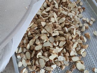 박운규.털보님의 작성글 사진