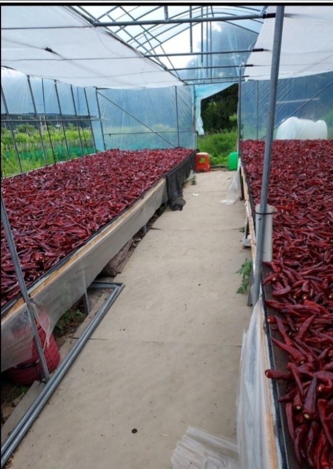 장터 상품 [반태양초 고춧가루 600g 1근 15,000원] 썸네일