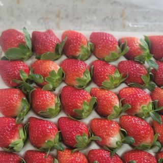 강미향님의 작성글 사진