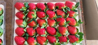 강미향님의 작성글 사진