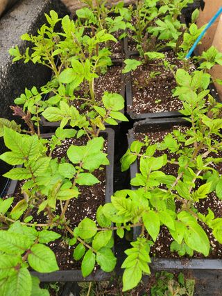 Preotu님의 기타작물 · 자유게시판 작성글 사진