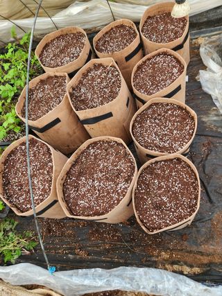 Preotu님의 기타작물 · 자유게시판 작성글 사진