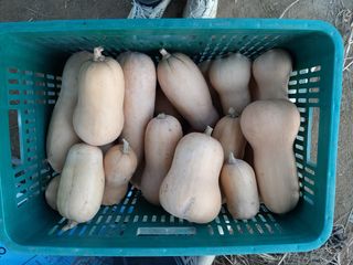 정우찬님의 작성글 사진