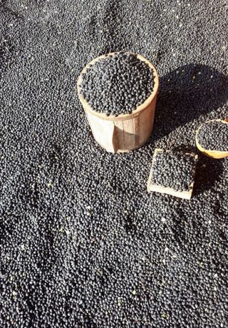 좋은들님의 작성글 사진