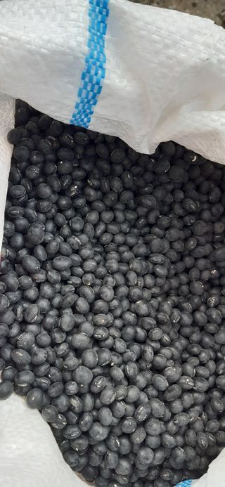 좋은들님의 작성글 사진