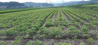 좋은들님의 작성글 사진