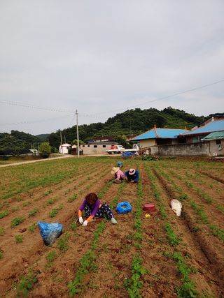 좋은들님의 작성글 사진