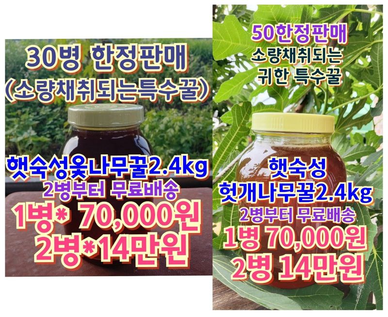 벌꿀농장♡권은주님의 장터 판매 상품 [숙성꿀 판매합니다~] 첨부 사진