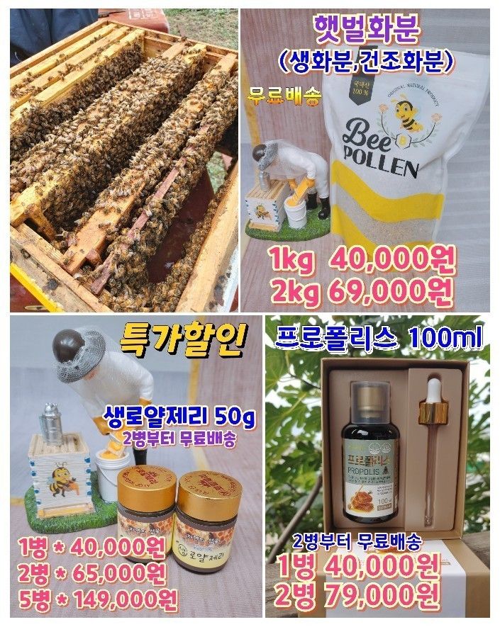 벌꿀농장♡권은주님의 장터 판매 상품 [숙성꿀 판매합니다~] 첨부 사진