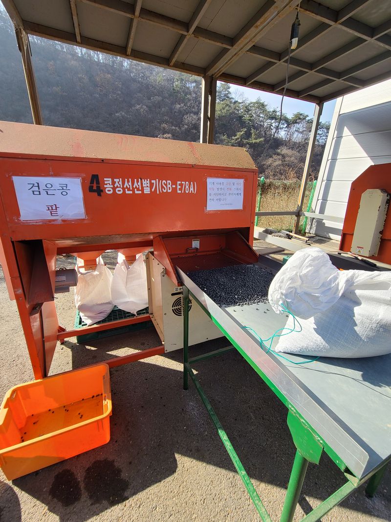 서상진님의 장터 판매 상품 [햇 서리태콩 청자5호  1k 10000원] 첨부 사진