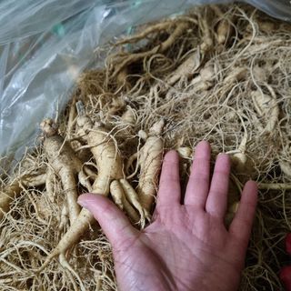 모두팜님의 감 · 자유게시판 작성글 사진