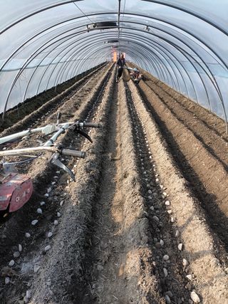 김형준님의 감자 · 자유게시판 작성글 사진