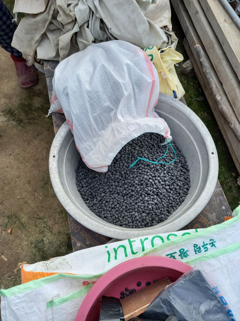 장터 상품 [서리태] 썸네일