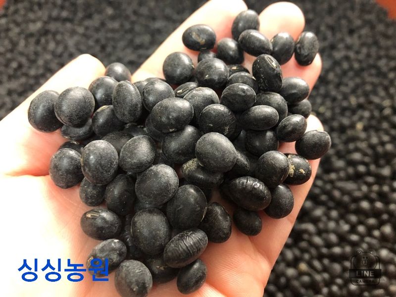 작은뜰님의 장터 판매 상품 [서리태콩] 첨부 사진