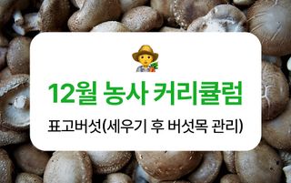 ๋ฒ์ฏ ๋์ฌ๋์ฐ๋ฏธ๋์ ๋ฒ์ฏ ยท ์์ฅ๊ธฐ ๋์์
์์ฑ๊ธ ์ฌ์ง