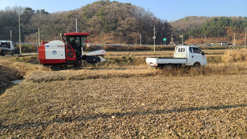 장터 상품 [서리태5키로] 썸네일