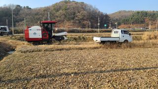 곽희동님의 작성글 사진