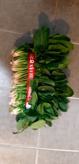 팜모닝 · 게시글 이미지