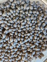 팜모닝 · 게시글 이미지