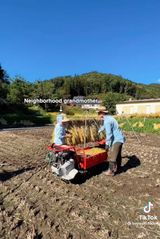 팜모닝 벼·자유게시판 게시글 이미지