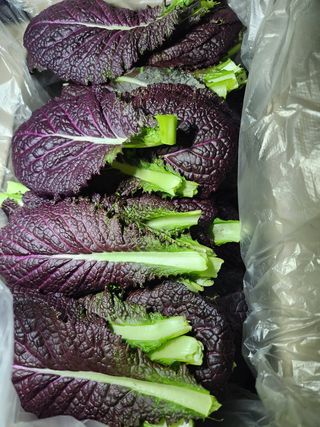 김지윤님의 작성글 사진